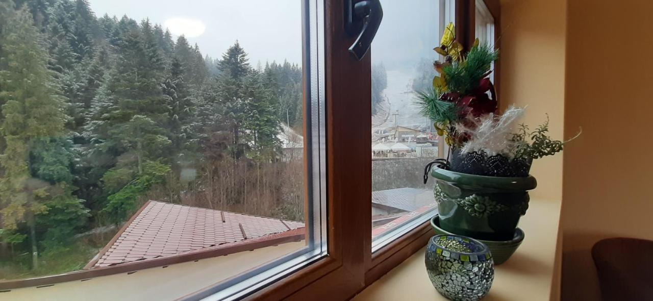Kalinderu Skier'S Apartament Bellevue Busteni Ngoại thất bức ảnh