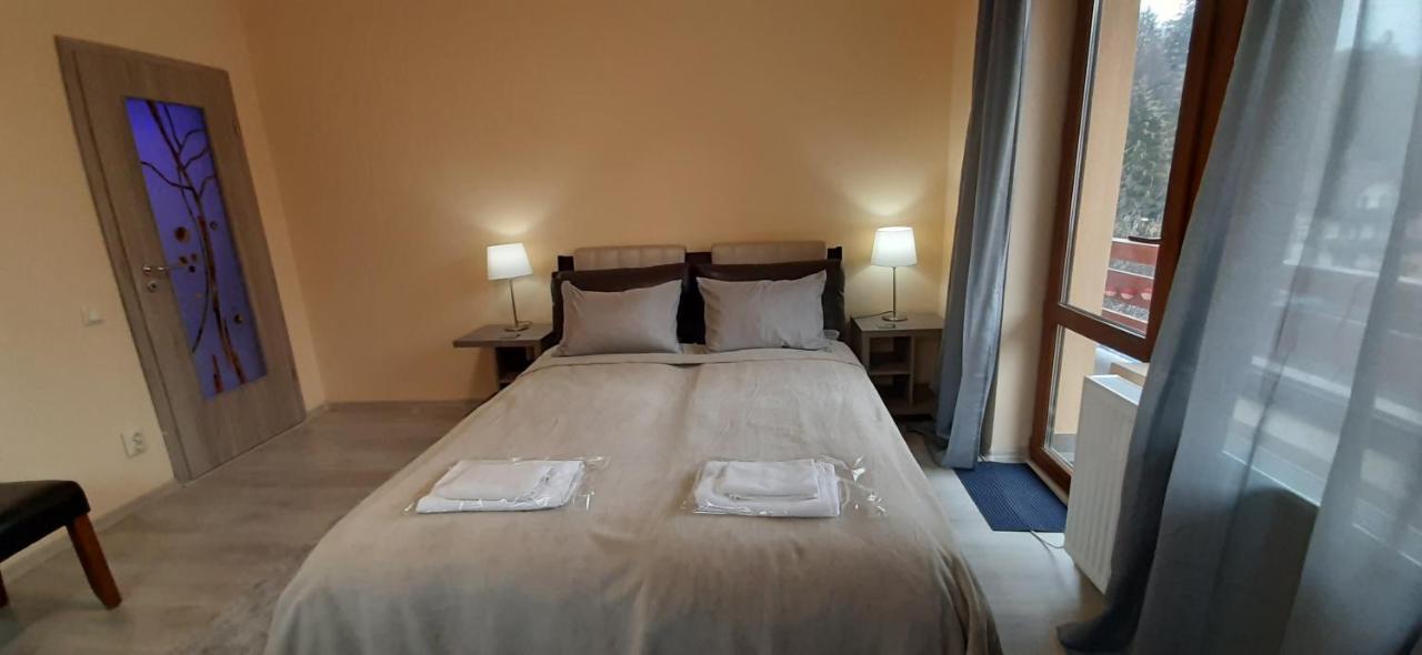 Kalinderu Skier'S Apartament Bellevue Busteni Ngoại thất bức ảnh