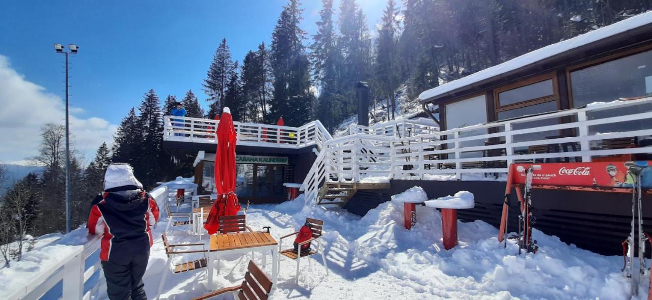 Kalinderu Skier'S Apartament Bellevue Busteni Ngoại thất bức ảnh