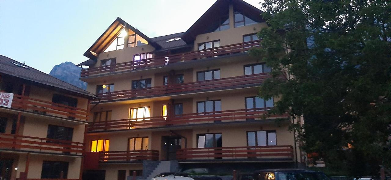 Kalinderu Skier'S Apartament Bellevue Busteni Ngoại thất bức ảnh