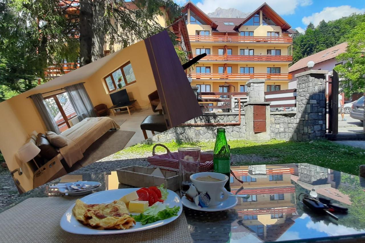Kalinderu Skier'S Apartament Bellevue Busteni Ngoại thất bức ảnh
