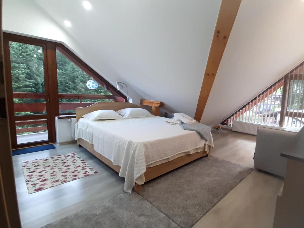 Kalinderu Skier'S Apartament Bellevue Busteni Ngoại thất bức ảnh
