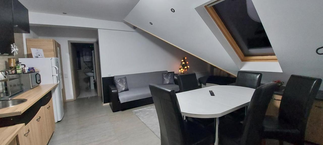 Kalinderu Skier'S Apartament Bellevue Busteni Ngoại thất bức ảnh