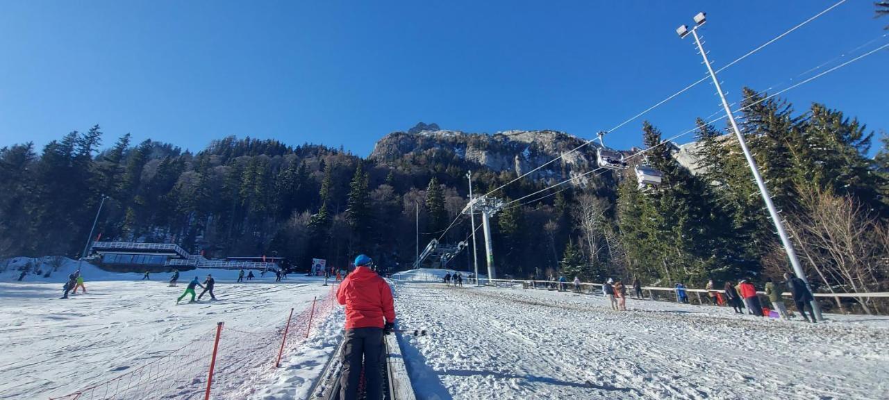 Kalinderu Skier'S Apartament Bellevue Busteni Ngoại thất bức ảnh