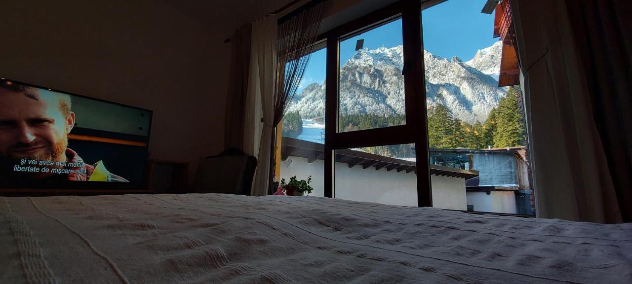 Kalinderu Skier'S Apartament Bellevue Busteni Ngoại thất bức ảnh