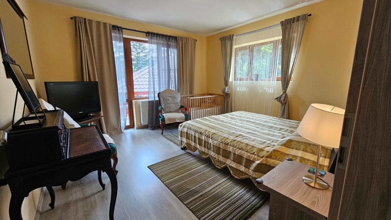 Kalinderu Skier'S Apartament Bellevue Busteni Ngoại thất bức ảnh